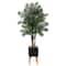 70" Areca Palm Tree in Black Planter with Stand